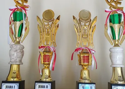 Deretan piala kejuaraan yang diraih santriwati Pondok Roja